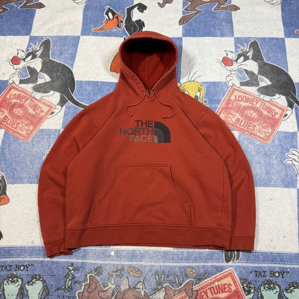 Vintage north face A5 series sweatshirt